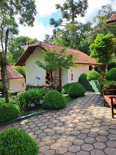 ano novo Monte Verde