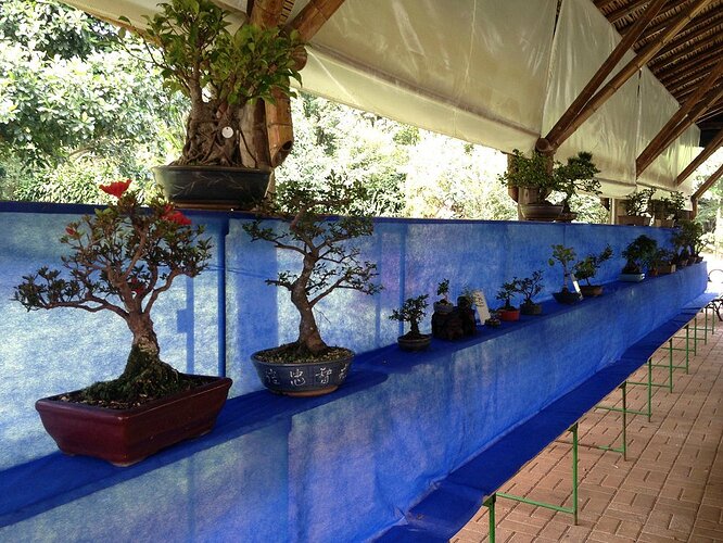 Quais os melhores lugares em São Paulo - Jardim botanico