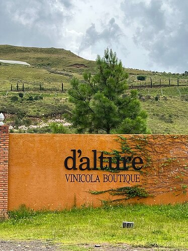 Vinícola Boutique D'Alture - São Joaquim