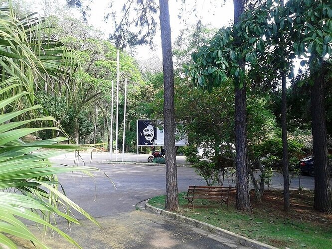 Parque Natural Chico Mendes