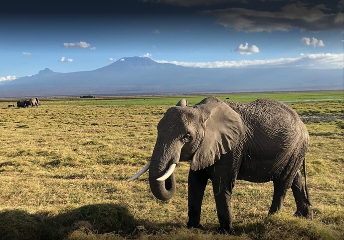 Parque Nacional de Amboseli