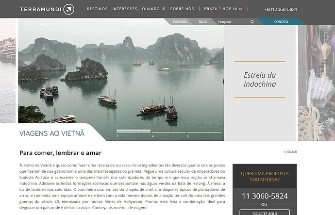 Página do site do Terra Mundi