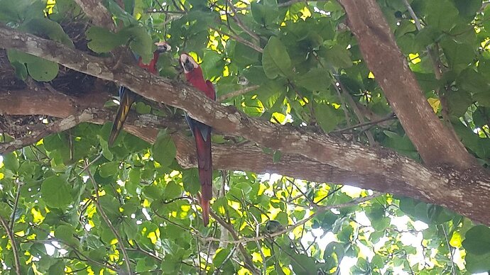 estrada-parque-do-pantanal