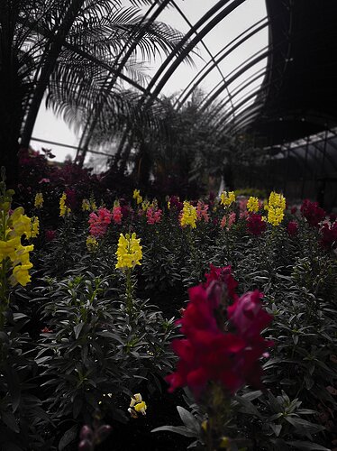 Jardim Botânico - Curitiba