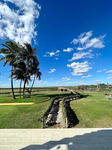 Vinícola Terra Nova