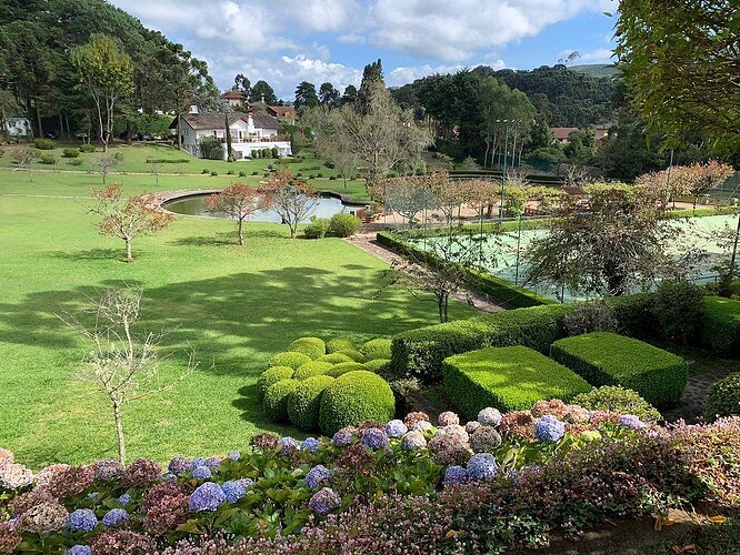 Roots Resort Monte Verde