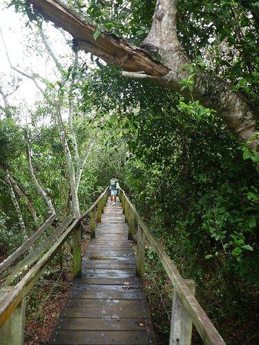 birdwatching-miranda