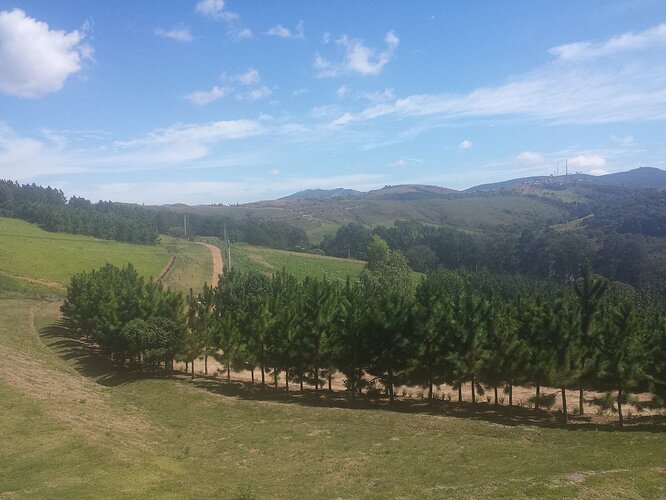 Poços de Caldas, MG