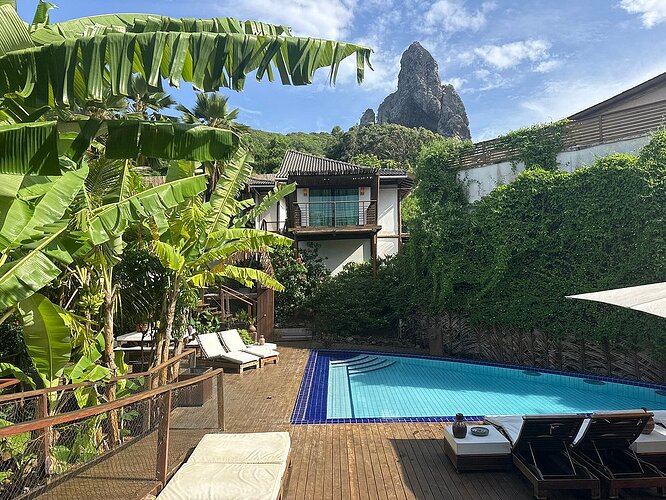 Teju-Açu, Fernando de Noronha