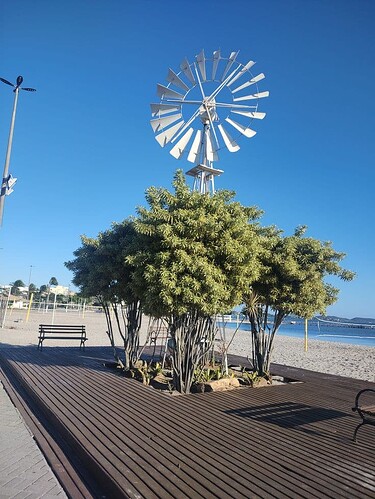 são pedro da aldeia