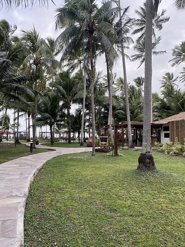 Beijupirá na Praia dos Carneiros