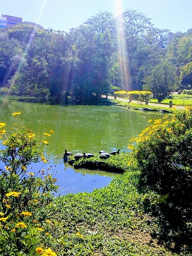 Parque Moinhos de Vento, Porto Alegre, RS