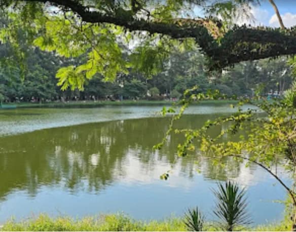 Parque Ibirapuera