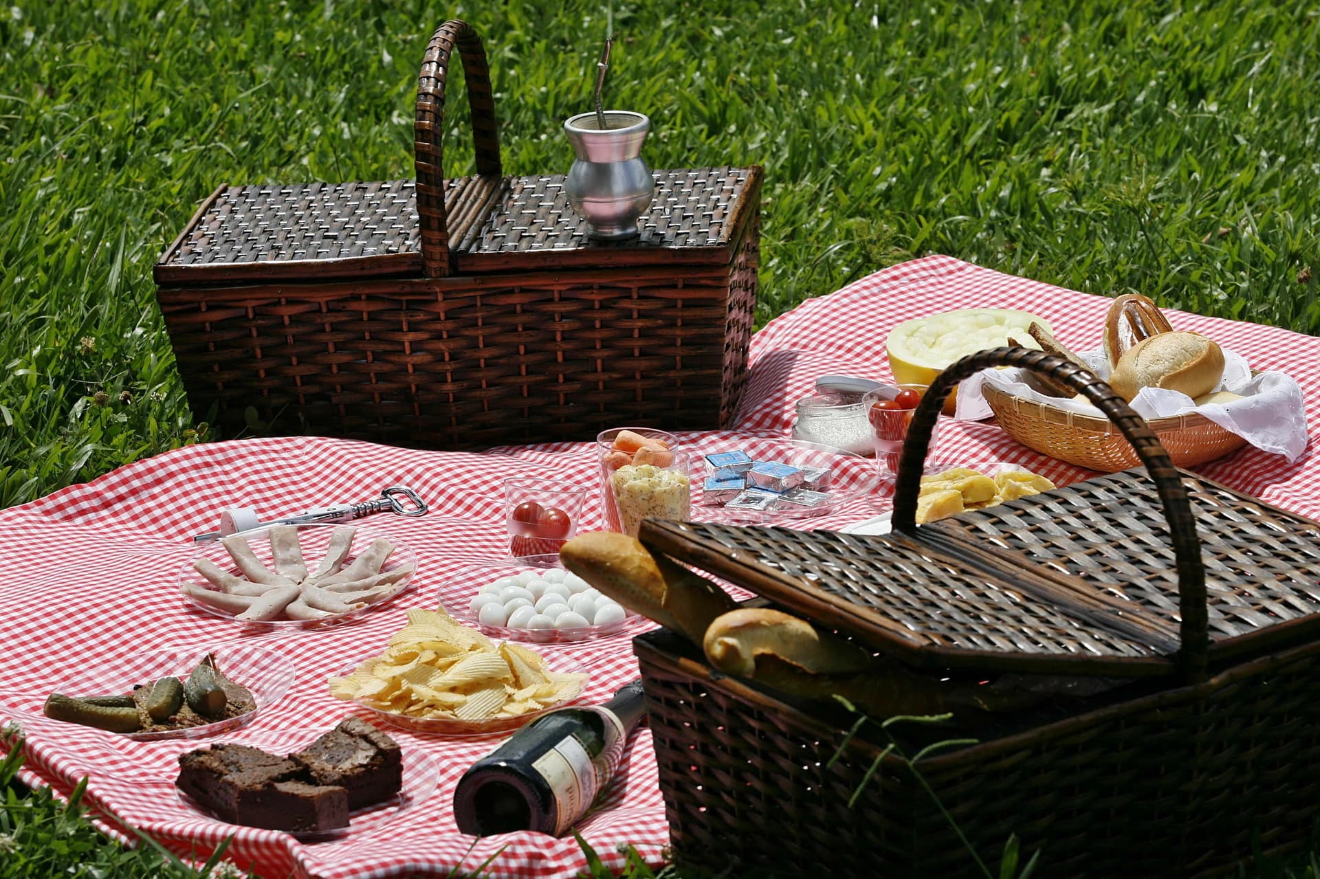piqueniques no Parque Ibirapuera