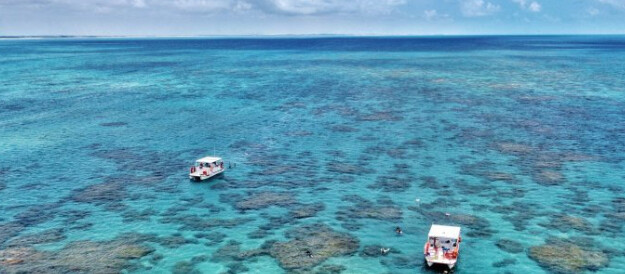 Como é a experiência de mergulho nos Parrachos de Maracajaú?