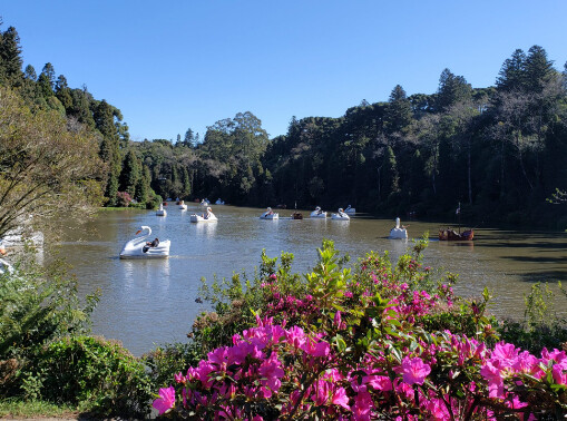 O que não posso deixar de fazer em Gramado e Canela?