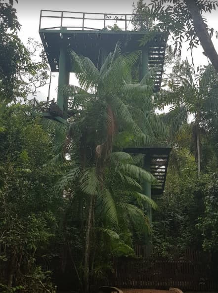 Parque Ambiental Chico Mendes com crianças