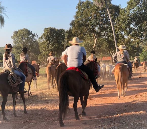 Pantanal Experiência