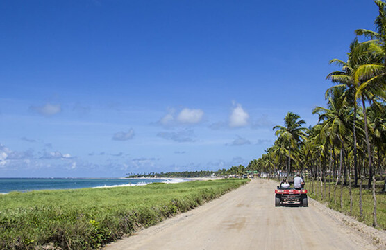 Quanto custa o passeio de buggy em Porto de Galinhas?