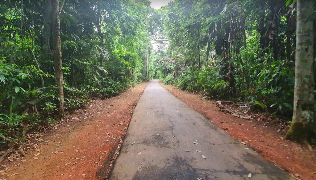 Parque Ambiental Chico Mendes