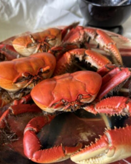 Quais são as comidas típicas que eu tenho que provar em Sergipe?