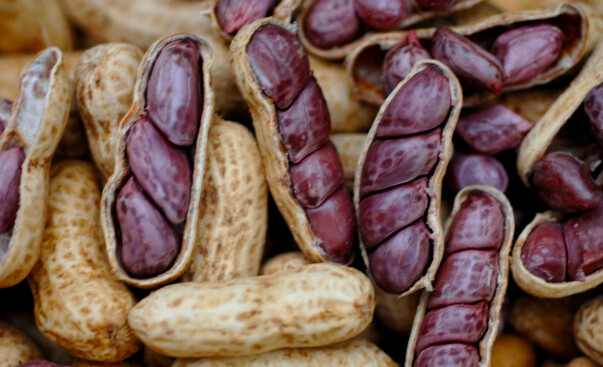 Quais são as comidas típicas que eu tenho que provar em Sergipe?
