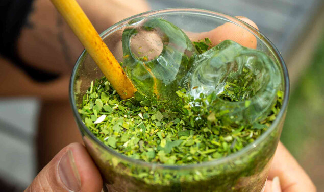 Qual é a bebida típica do Mato Grosso do Sul?