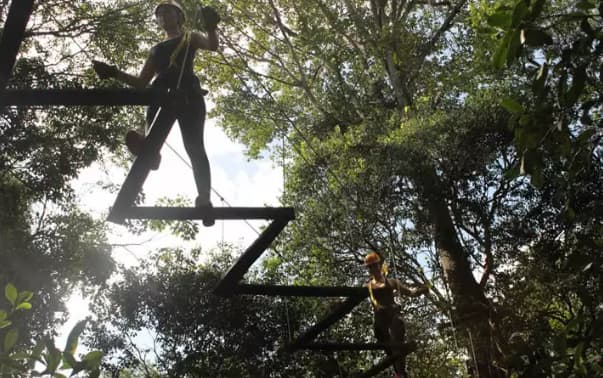 Arvorismo e tirolesa turismo de aventura