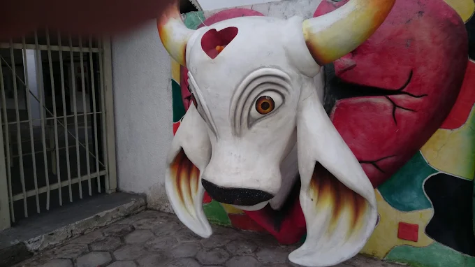 Boi Garantido e Boi Caprichoso, Parintins